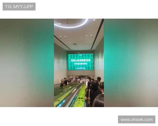 iPad看世界杯必备软件全解析畅享高清实时赛事体验与精彩互动